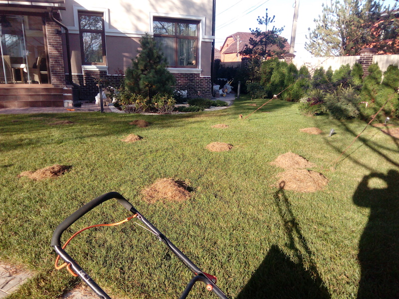 Обслуживание территории